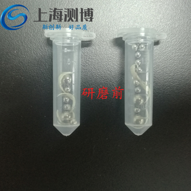 指甲是怎樣利用冷凍研磨儀來提取DNA的？