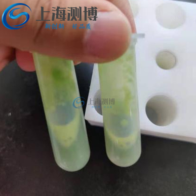 冷凍研磨儀進(jìn)行定量水稻葉片研磨實驗|浙江大學(xué)