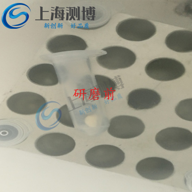 多樣品組織研磨儀能提取玉米DNA嗎？其研磨效果如何？