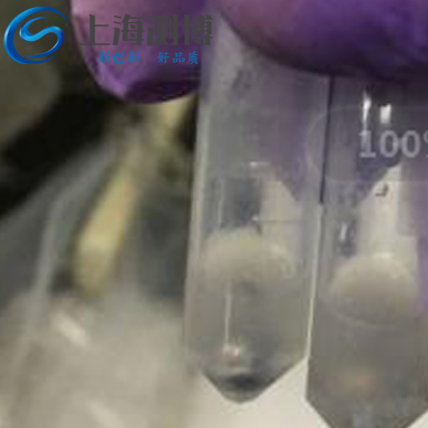 冷凍研磨儀處理小鼠動(dòng)脈血管能否達(dá)到樣品處理要求？